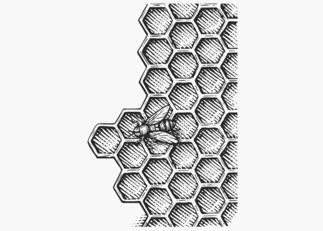 Honeycomb art